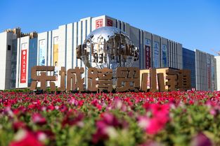 石家莊樂城領(lǐng)跑智慧商貿(mào)產(chǎn)業(yè)集群,促進商貿(mào)流通發(fā)展